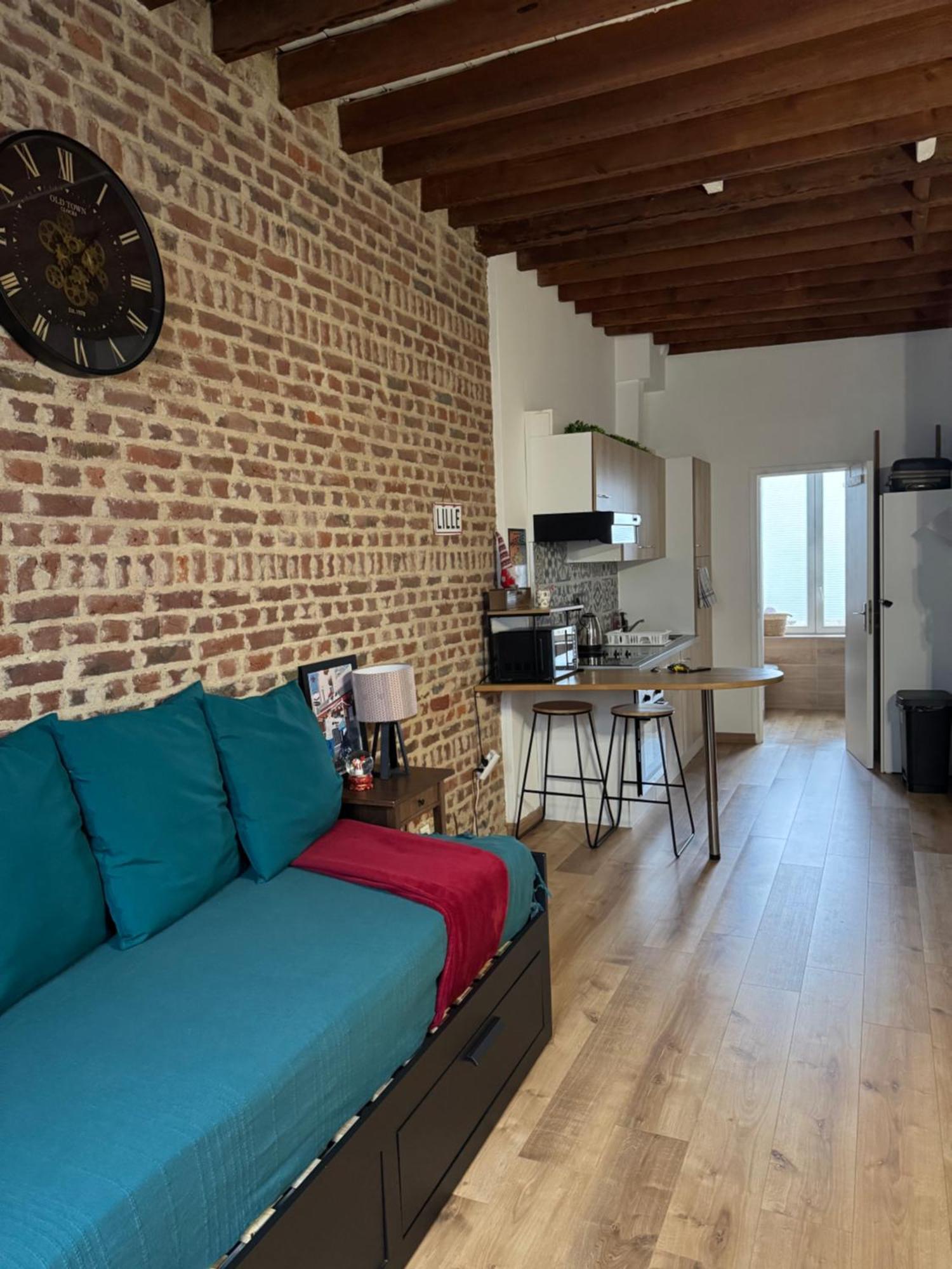 L'Ile Aux Ch'Tis Apartment Lille Exterior photo