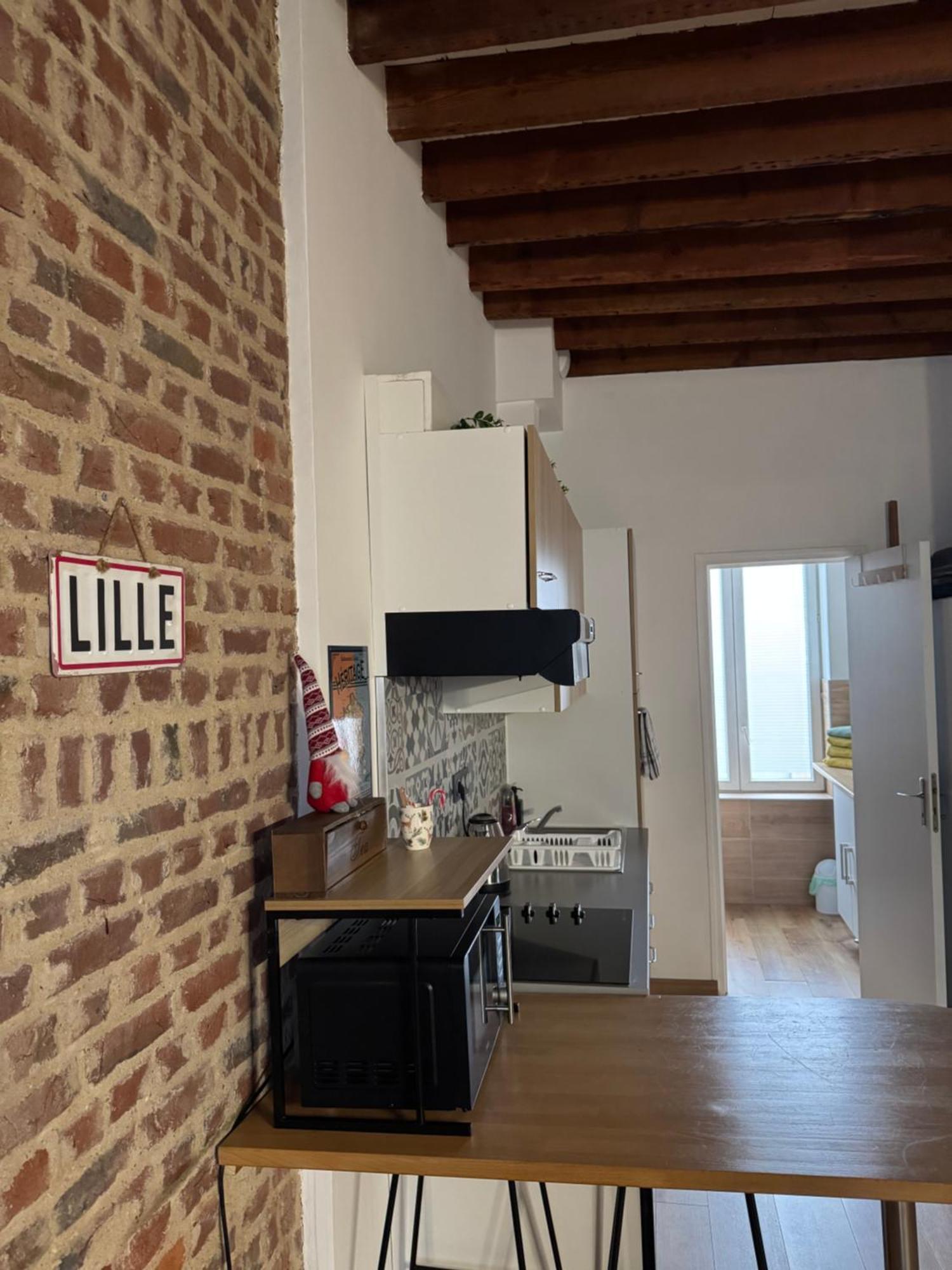 L'Ile Aux Ch'Tis Apartment Lille Exterior photo